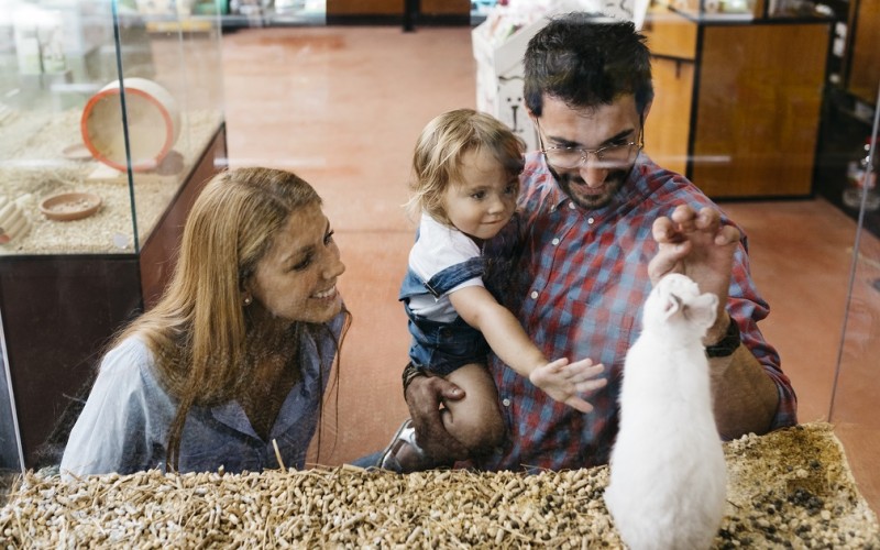 Brevet de Technicien Supérieur Agricole Technico-Commercial Univers du Jardin et des Animaux de Compagnie