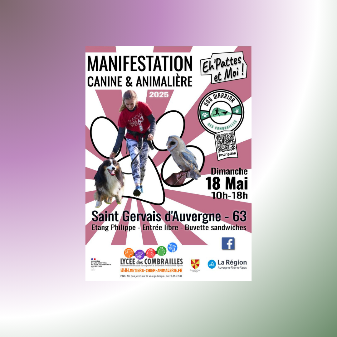 Manifestation canine et animalière 2025